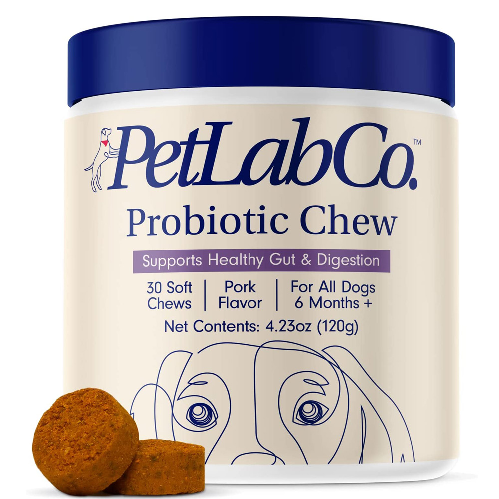 PetLab1.jpg