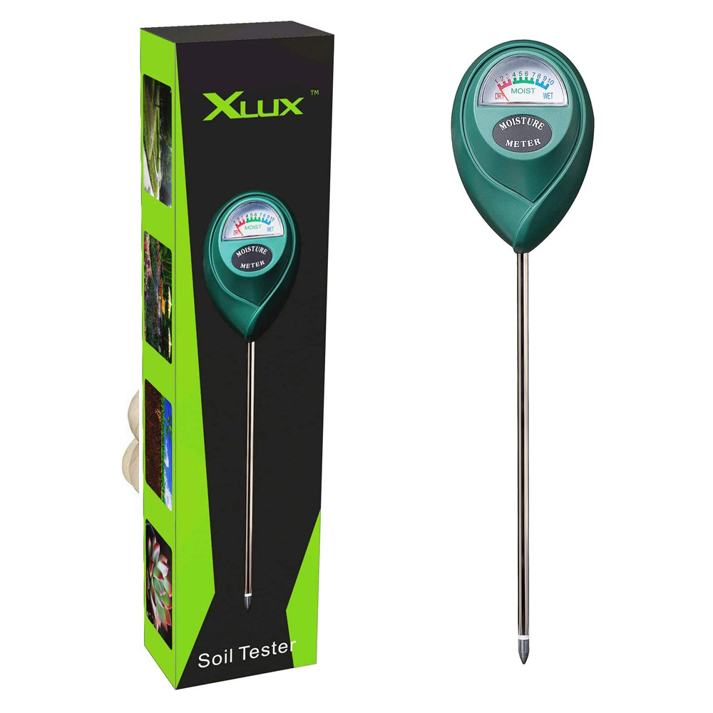 XLUX1.jpg